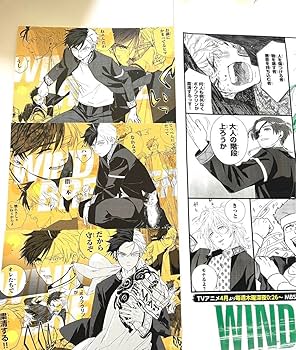 Amazon.co.jp: WINDBREAKER ウィンドブレイカー 桜遥 イ カード